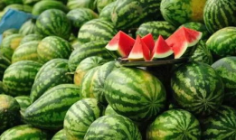 山东吃瓜爆料事件真相,揭秘背后真相与争议